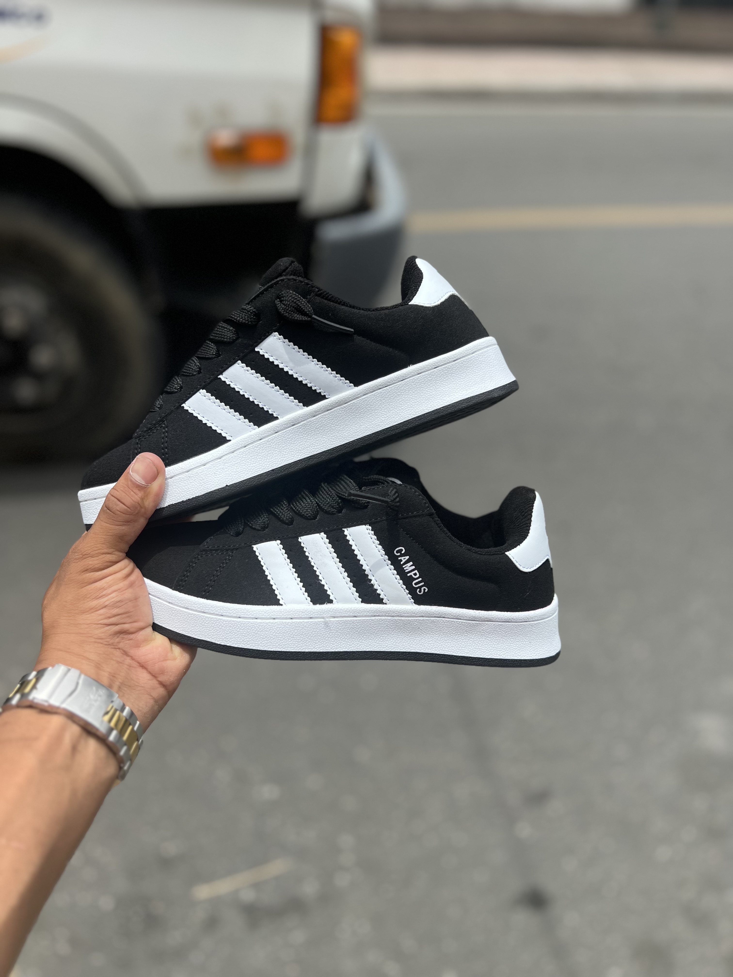 Adida campu
